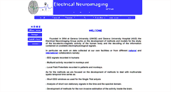 Desktop Screenshot of electrical-neuroimaging.ch
