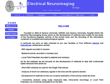Tablet Screenshot of electrical-neuroimaging.ch